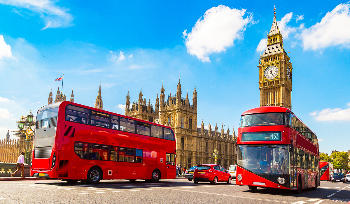 transport and automotive buses