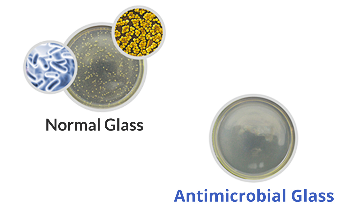 Antimicrobial glass vs regular glass